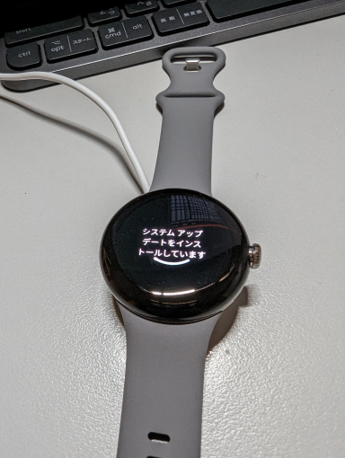 Google Pixel Watch 電源オン9