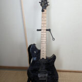 EVH ギター 全体