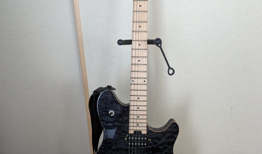 EVH ギター 全体