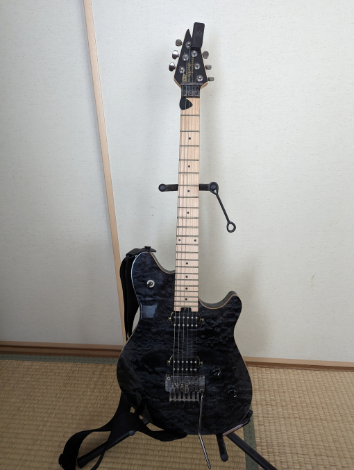 EVH ギター 全体